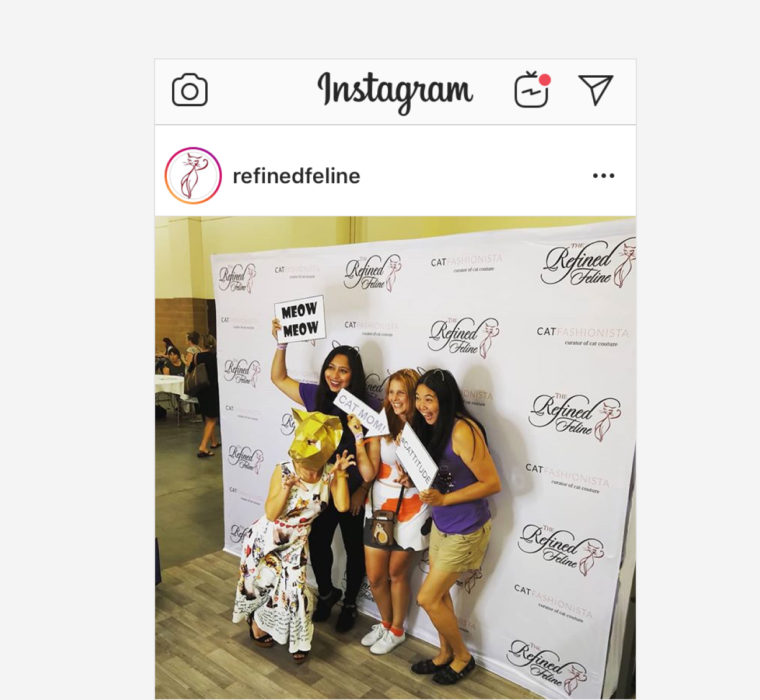 CatCon Step and Repeat